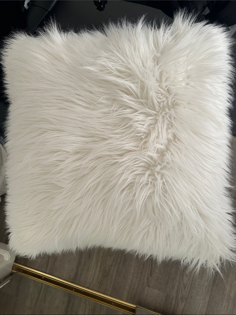 Pottery Barn Pillow - Picture 2 of 2